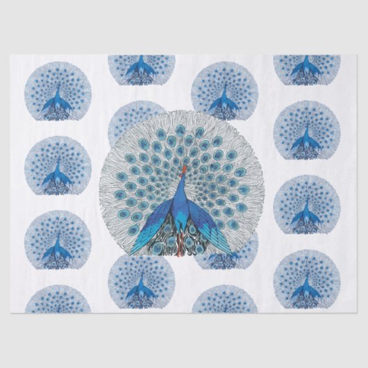 ヴィンテージブルーピーコックパターンの分離 薄葉紙 (正面)