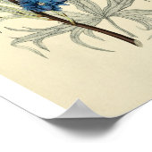 ヴィンテージブルーラークスパーフラワー ポスター (角)