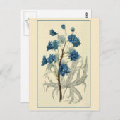 ヴィンテージブルーラークスパーフラワー ポストカード (正面/裏面)
