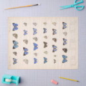 ヴィンテージブルー蝶エフエマデクページティール（緑がかった色） 薄葉紙 (クラフト)