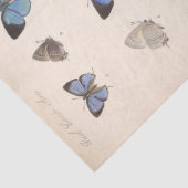 ヴィンテージブルー蝶エフエマデクページティール（緑がかった色） 薄葉紙 (詳細)