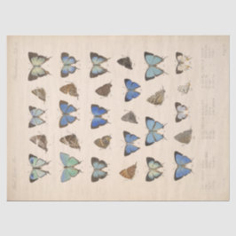 ヴィンテージブルー蝶エフエメラデクページティール(緑がかった色)T 薄葉紙