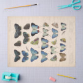 ヴィンテージブルー蝶エフエメラデクページティール（緑がかった色）T 薄葉紙 (クラフト)