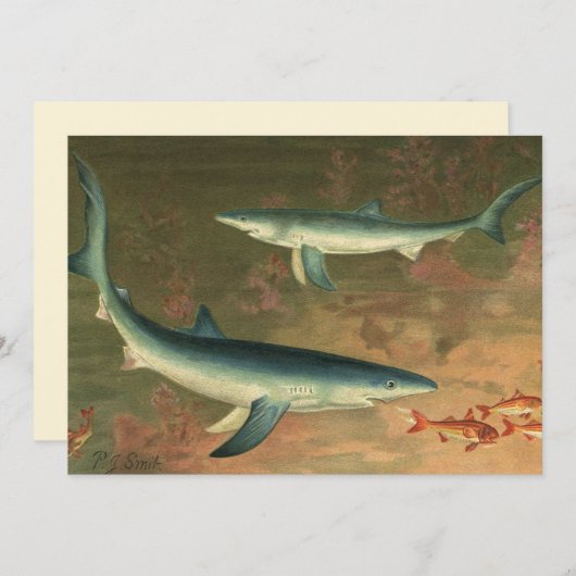 ヴィンテージブルー食べシャークの魚、海洋生物 (正面/裏面)