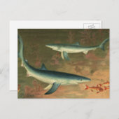 ヴィンテージブルー食べシャークの魚、海洋生物 ポストカード (正面/裏面)