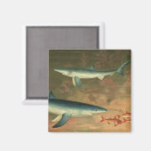 ヴィンテージブルー食べシャークの魚、海洋生物 マグネット (正面/裏面)