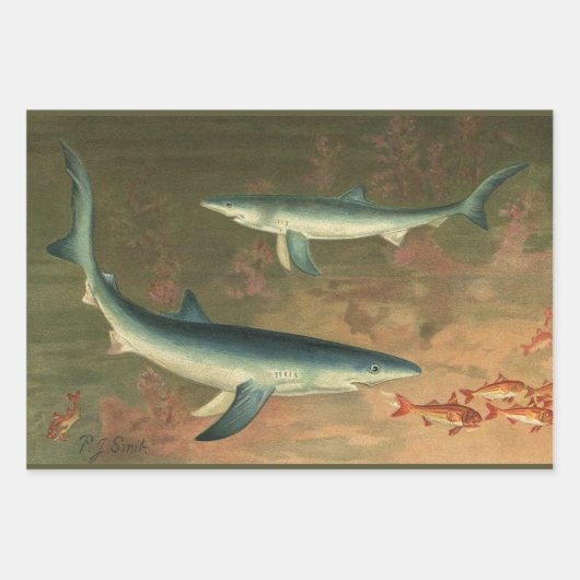 ヴィンテージブルー食べシャークの魚、海洋生物 ラッピングペーパーシート (正面3)