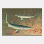 ヴィンテージブルー食べシャークの魚、海洋生物 ラッピングペーパーシート (正面2)