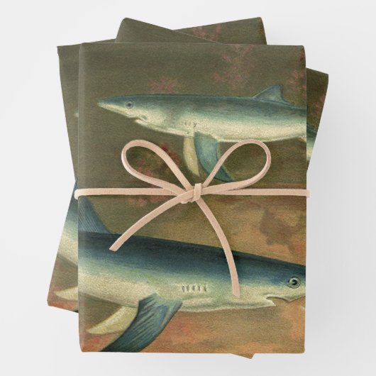 ヴィンテージブルー食べシャークの魚、海洋生物 ラッピングペーパーシート (インサイチュ)