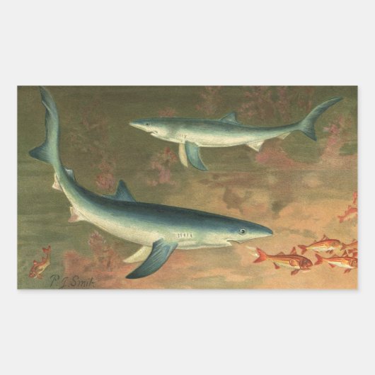 ヴィンテージブルー食べシャークの魚、海洋生物 長方形シール (正面)