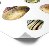 ヴィンテージブルー・シーシェルのポスター ポスター (角)