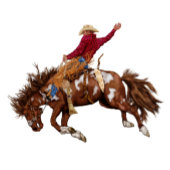 ヴィンテージブロンコライダー ペーパープレート