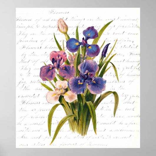 ヴィンテージブーケ・オブ・ライラック – 文字by Clara Balfour ポスター (正面)