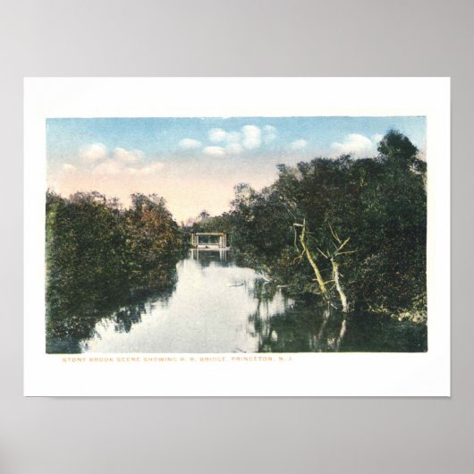 ヴィンテージプリンストンNJ鉄道1920ヴィンテージ ポスター (正面)