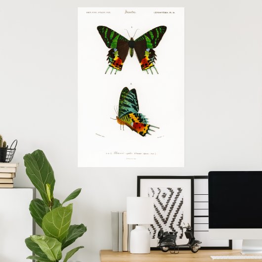 ヴィンテージプリントマダガスカルのサンセットモスポスター ポスター (ホームオフィス)