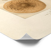 ヴィンテージプリント ポスター (角)