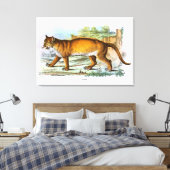ヴィンテージプーマアニマルイラストレーション キャンバスプリント (インサイチュ (寝室))
