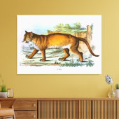 ヴィンテージプーマアニマルイラストレーション キャンバスプリント (インサイチュ (リビング))