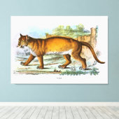 ヴィンテージプーマアニマルイラストレーション キャンバスプリント (インサイチュ (ウッドフロア))