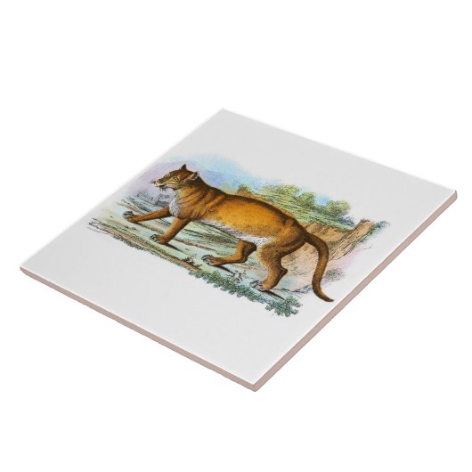 ヴィンテージプーマアニマルイラストレーション タイル (側面)