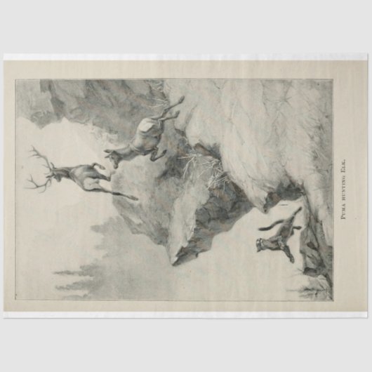 ヴィンテージプーマ狩りエルクエフェメラデクページ 薄葉紙 (正面)