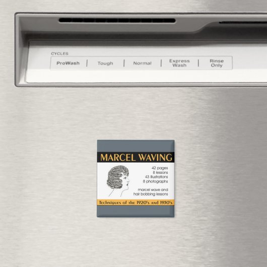 ヴィンテージヘアデザイン指導冊子 マグネット (インサイチュ (食洗機))