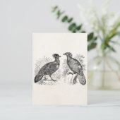 ヴィンテージヘイスティングズトラゴパンフェアサントインペヤンバード ポストカード (スタンド正面)