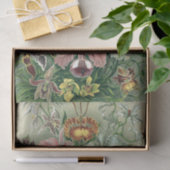 ヴィンテージヘッケルオーキカラフルッドリトグラフポスター 薄葉紙 (ギフト)