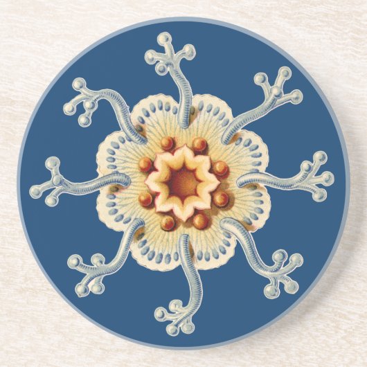 ヴィンテージヘッケル コースター (正面)