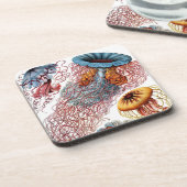 ヴィンテージヘッケル コースター (左側)