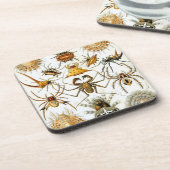 ヴィンテージヘッケル コースター (左側)