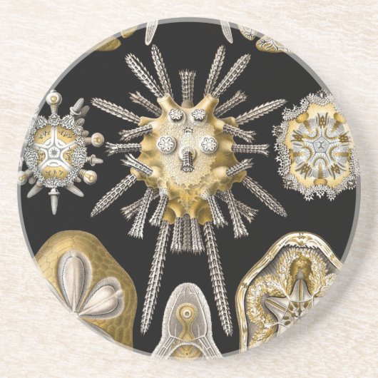 ヴィンテージヘッケル コースター (正面)