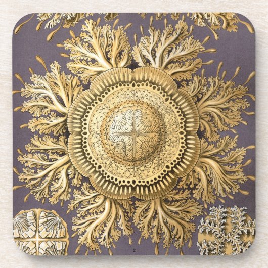 ヴィンテージヘッケル コースター (正面)