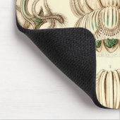 ヴィンテージヘッケル マウスパッド (コーナー)