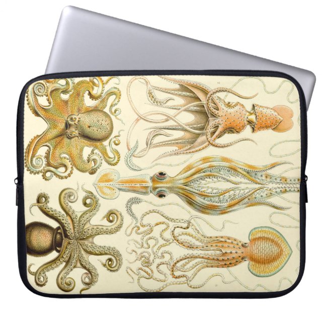 ヴィンテージヘッケル ラップトップスリーブ (正面)