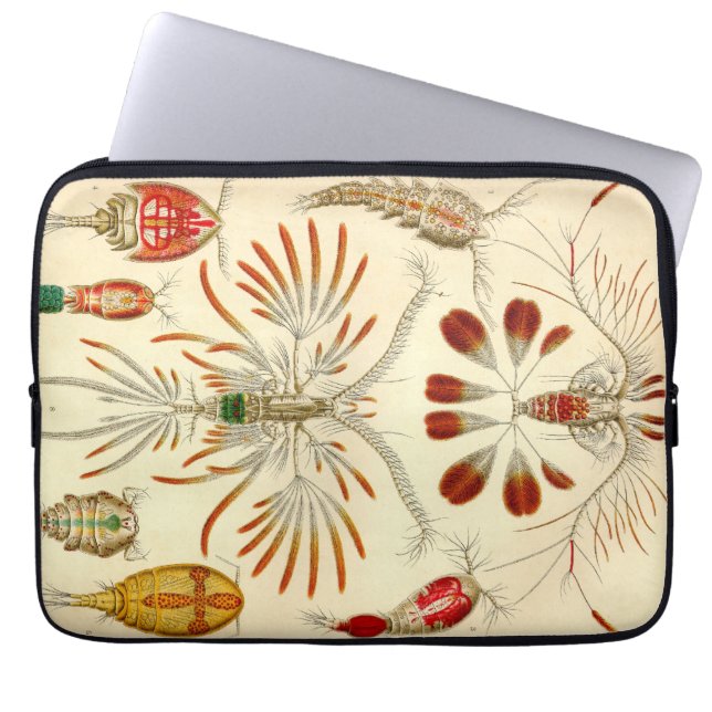 ヴィンテージヘッケル ラップトップスリーブ (正面)