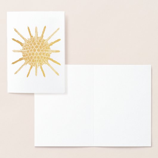 ヴィンテージヘッケル 箔カード (ディスプレー)