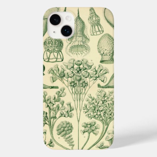 ヴィンテージヘッケル Case-Mate iPhoneケース (裏面)