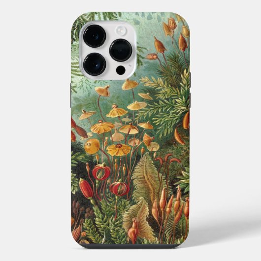 ヴィンテージヘッケル iPhoneケース (裏面)