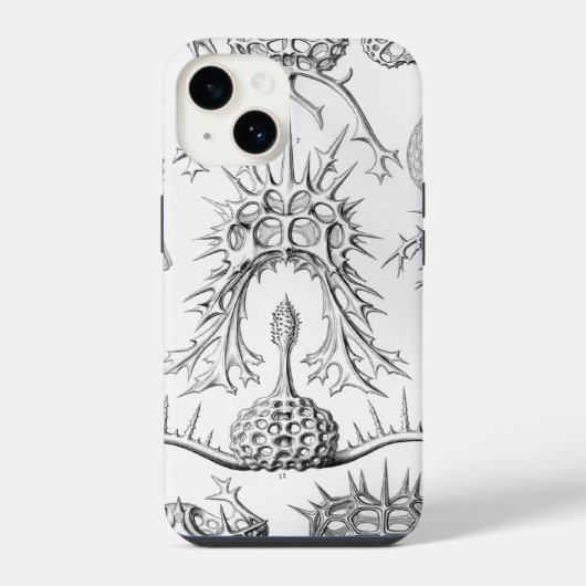ヴィンテージヘッケル iPhoneケース (裏面)