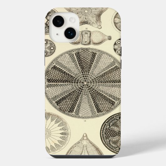 ヴィンテージヘッケル iPhoneケース (裏面)