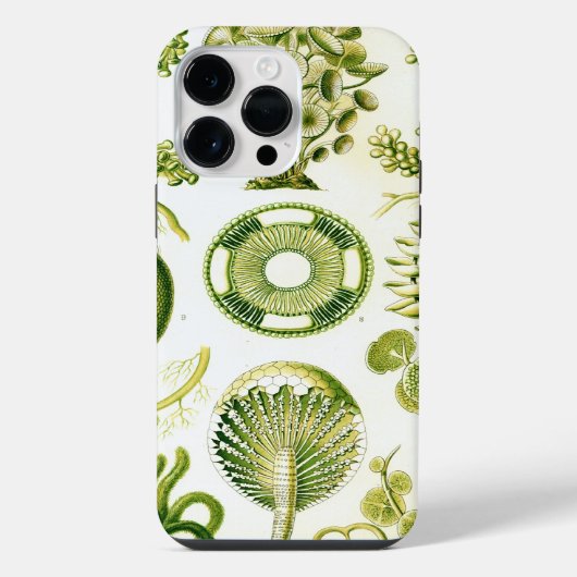 ヴィンテージヘッケル iPhoneケース (裏面)
