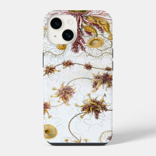 ヴィンテージヘッケル iPhoneケース (裏面)