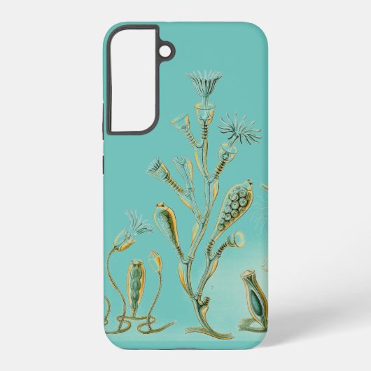 ヴィンテージヘッケル SAMSUNG GALAXYケース (裏面)