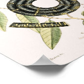 ヴィンテージヘビイラストレーション ポスター (角)