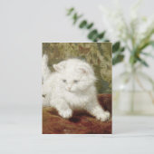 ヴィンテージヘンリエットロナーナイプキュリオシティ ポストカード (スタンド正面)