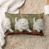 ヴィンテージヘンリエットロナーナイプキュリオシティ ランバークッション (ブランケット)