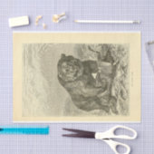 ヴィンテージベアエフェメラデコパージュ 薄葉紙 (クラフト)