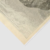 ヴィンテージベアエフェメラデコパージュ 薄葉紙 (詳細)