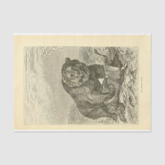 ヴィンテージベアエフェメラデコパージュ 薄葉紙 (正面)